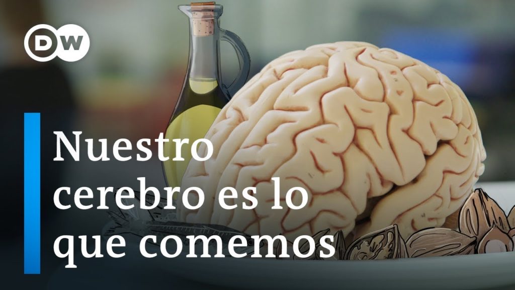 Cerebro y comida